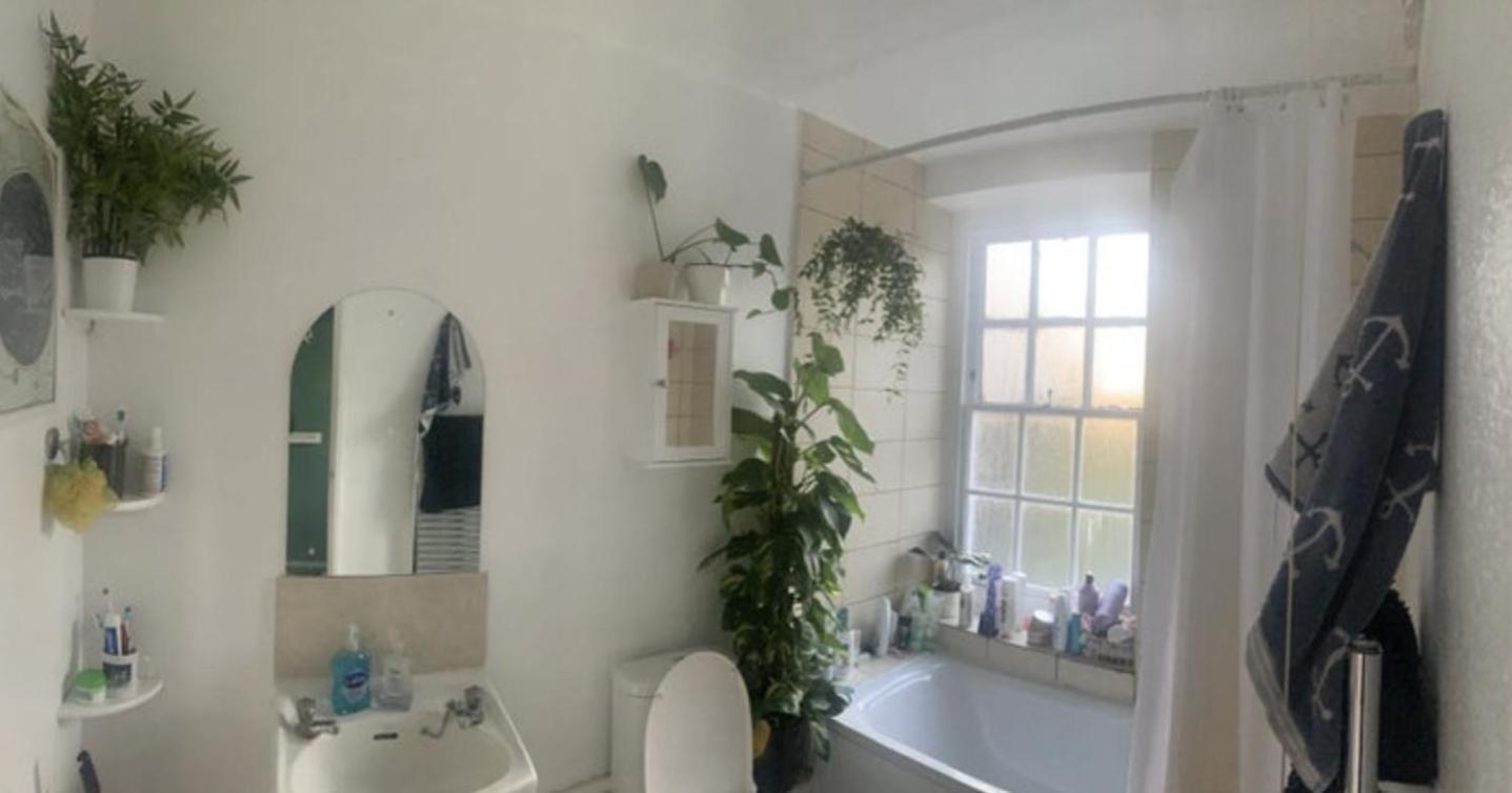 Apartment Amazing 2 Bedrooms Flat In Islington *